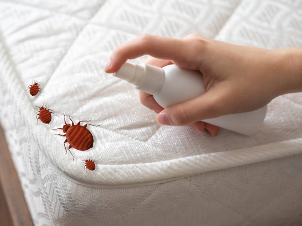 Best Commercial Pest Control Services  in Orchard City, CO